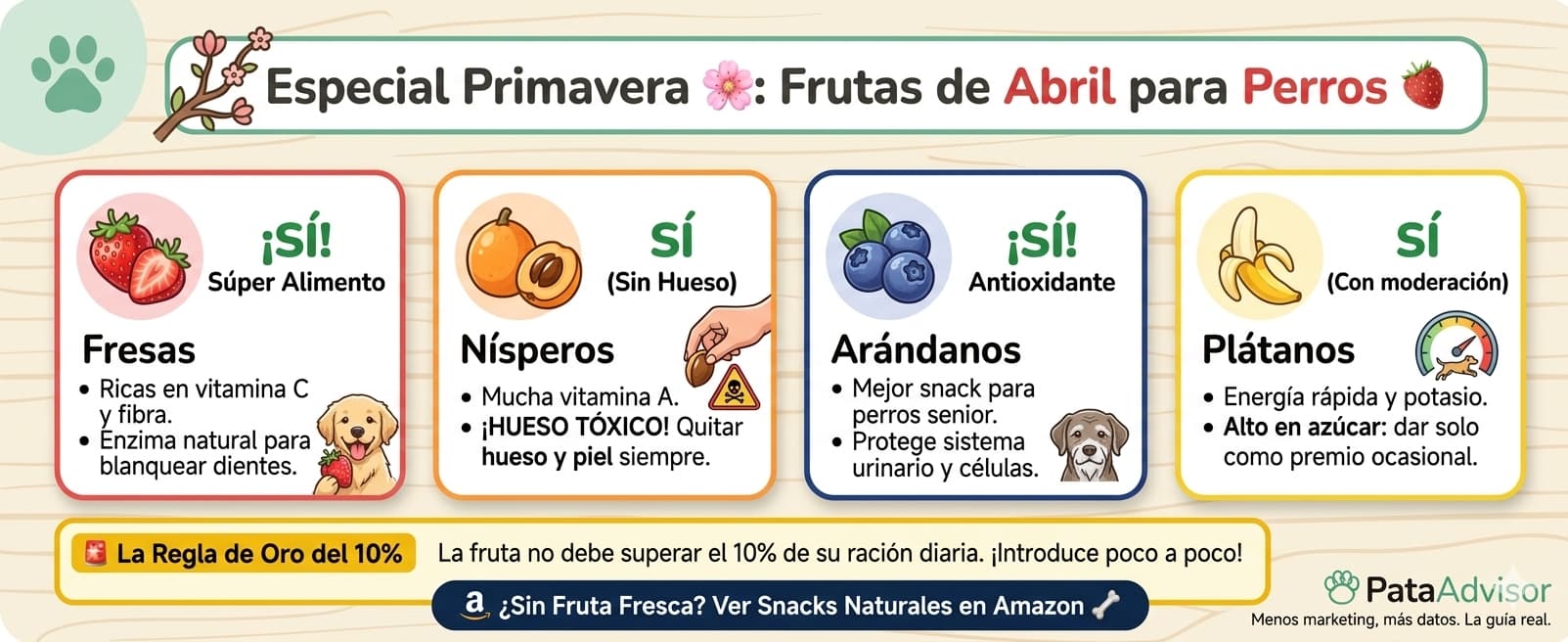 Infografía frutas de abril para perros — semáforo PataAdvisor