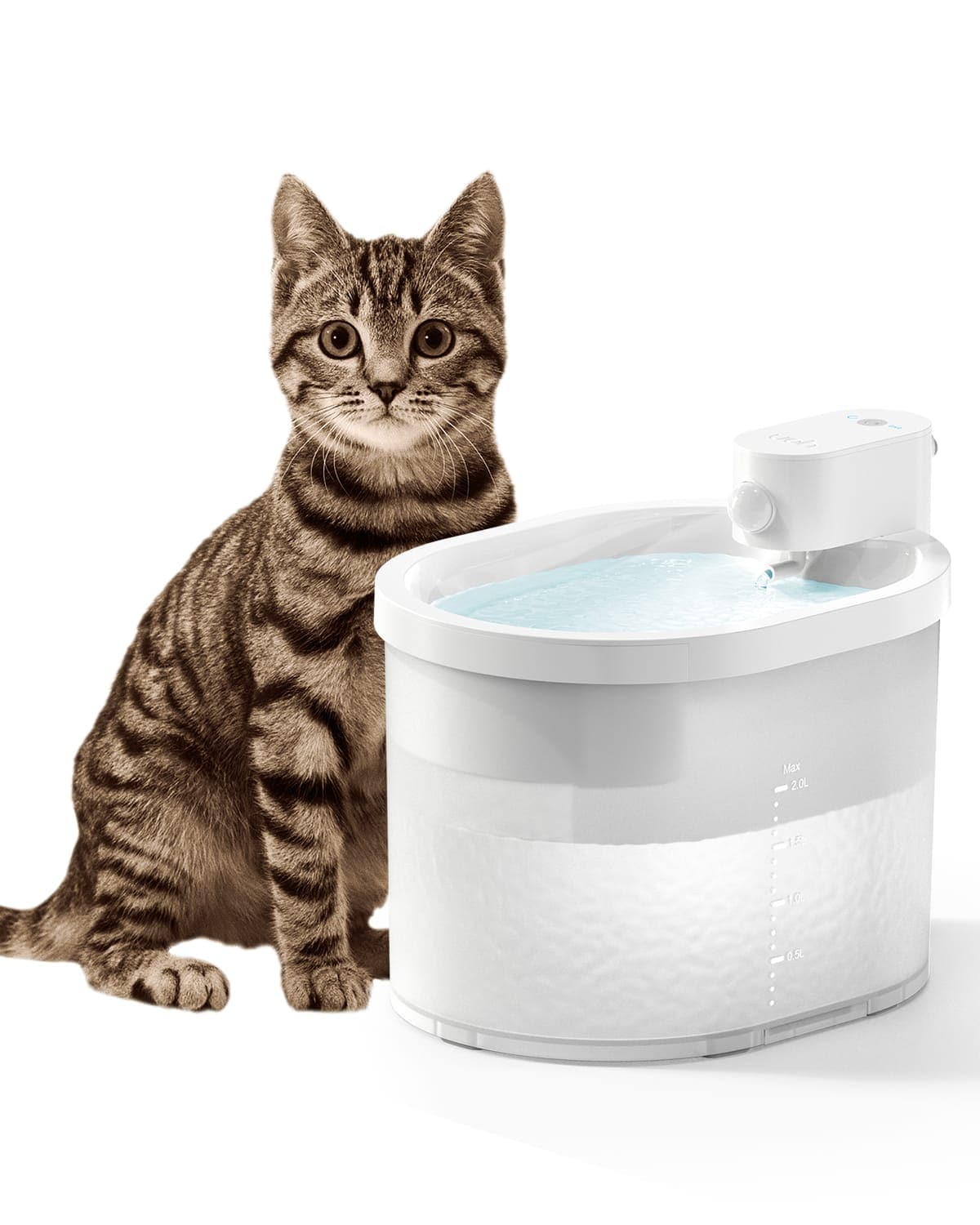 Fuente inalámbrica Uahpet con sensor de movimiento para gatos